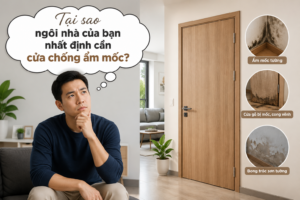 Tại sao cần cửa chống ẩm mốc